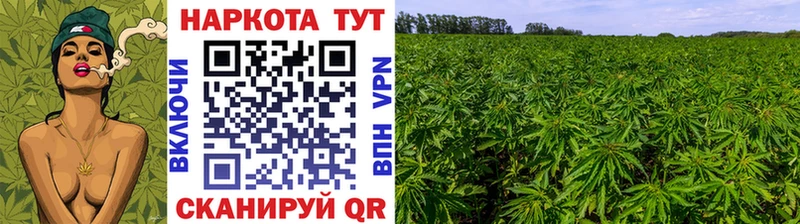 Купить МАРИХУАНА  Меф мяу мяу  Галлюциногенные грибы  ГАШ  КОКАИН  АМФЕТАМИН  Онега