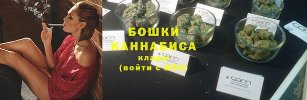 ECSTASY Медногорск
