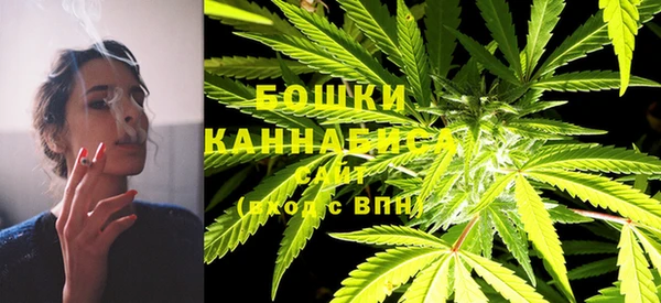 ECSTASY Медногорск